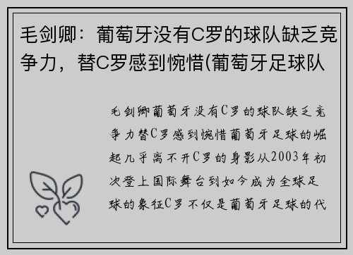 毛剑卿：葡萄牙没有C罗的球队缺乏竞争力，替C罗感到惋惜(葡萄牙足球队队长c罗)