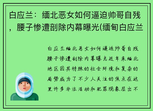 白应兰：缅北恶女如何逼迫帅哥自残，腰子惨遭剖除内幕曝光(缅甸白应兰)